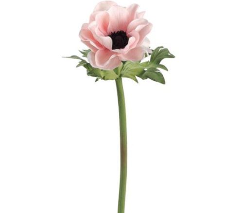 Pink Black Anemone Spray - 17-inch