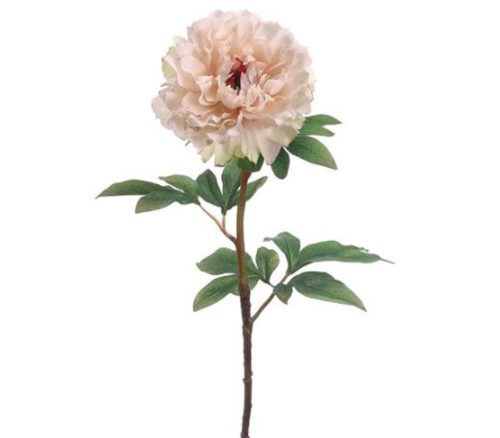 Ivory Peony Spray - 21-inch