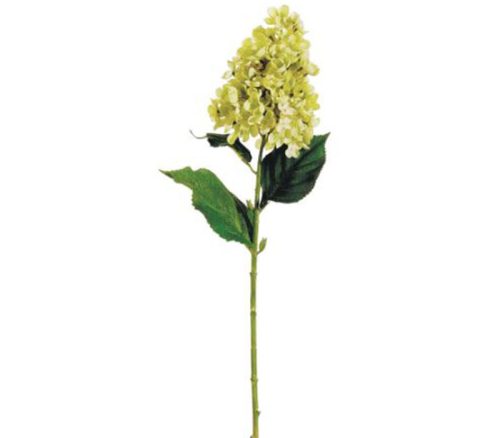 Lime Cone Hydrangea Spray - 28-inch