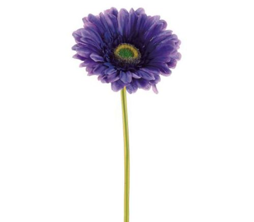 Dark Purple Large Gerbera Daisy Stem - 9-inch