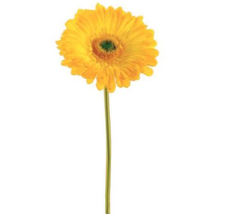 Yellow Large Gerbera Daisy Stem - 9-inch