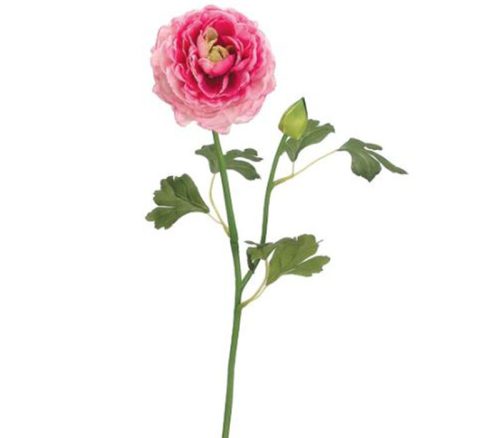 Cerise Pink Ranunculus Spray - 19-inch