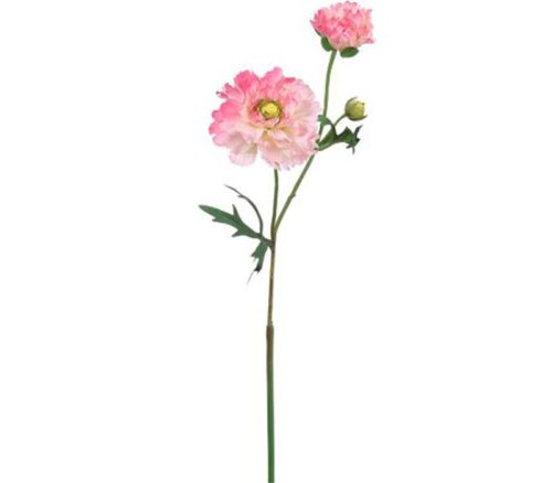 Pink Ranunculus Spray - 23-inch