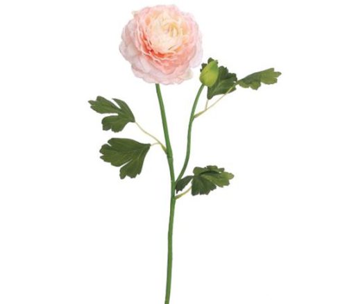 Soft Pink Ranunculus Spray - 19-inch