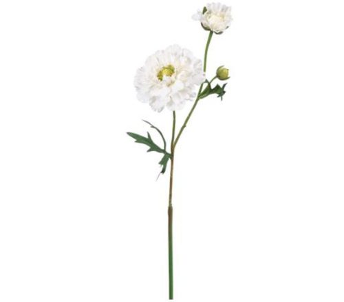 Cream Ranunculus Spray - 23-inch