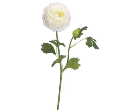 Cream Ranunculus Spray - 19-inch