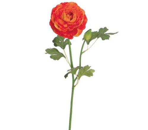 Orange Ranunculus Spray - 19-inch