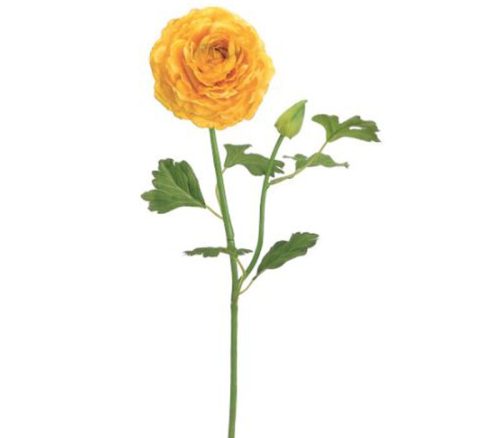 Yellow Ranunculus Spray - 19-inch