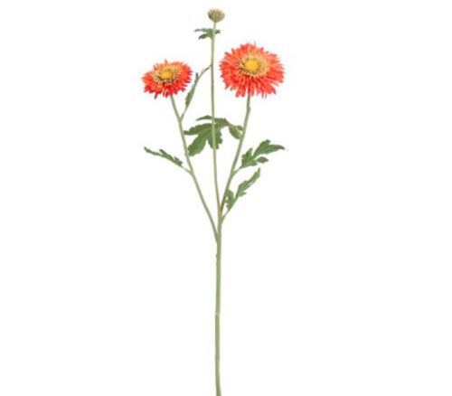 Flame Orange Gerbera Daisy Spray - 27.5-inch