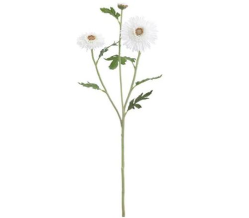 White Gerbera Daisy Spray - 27.5-inch