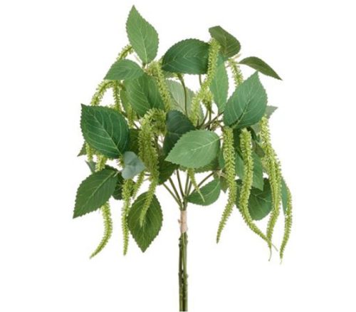 Green Amaranthus Bundle - 4 Stem - 13-inch