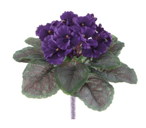 Purple Violet Bush - 15 Stems - 8-inch