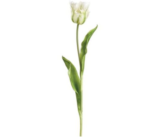 Real Touch Cream/Green Tulip Spray - 20-inch