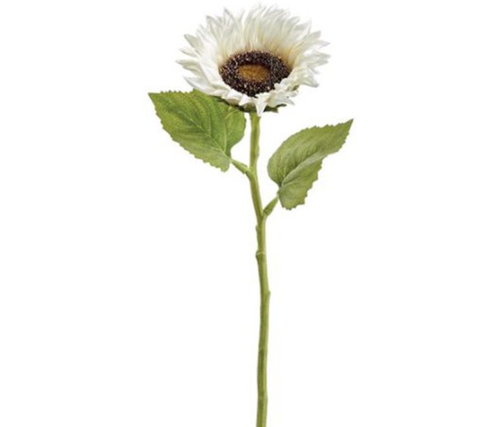 Cream Sunflower Spray - 18-inch