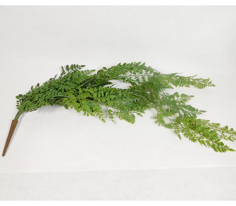 Hanging Fern Bush - 36-inch