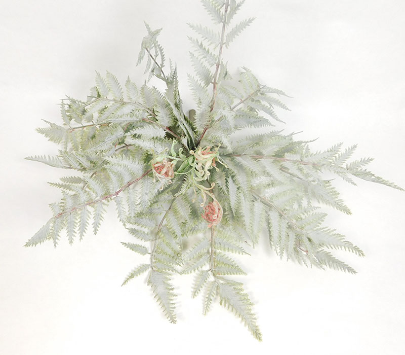 Frosted Fern Bush - 16-inch