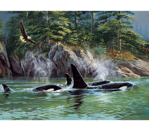 Orcas Puzzle - 1000 Piece