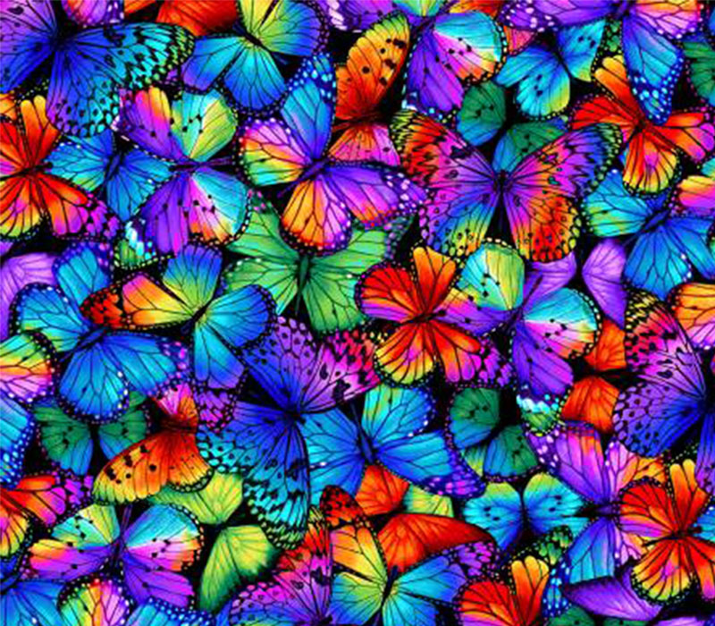 rainbow-butterflies-on-black-by-timeless-treasures