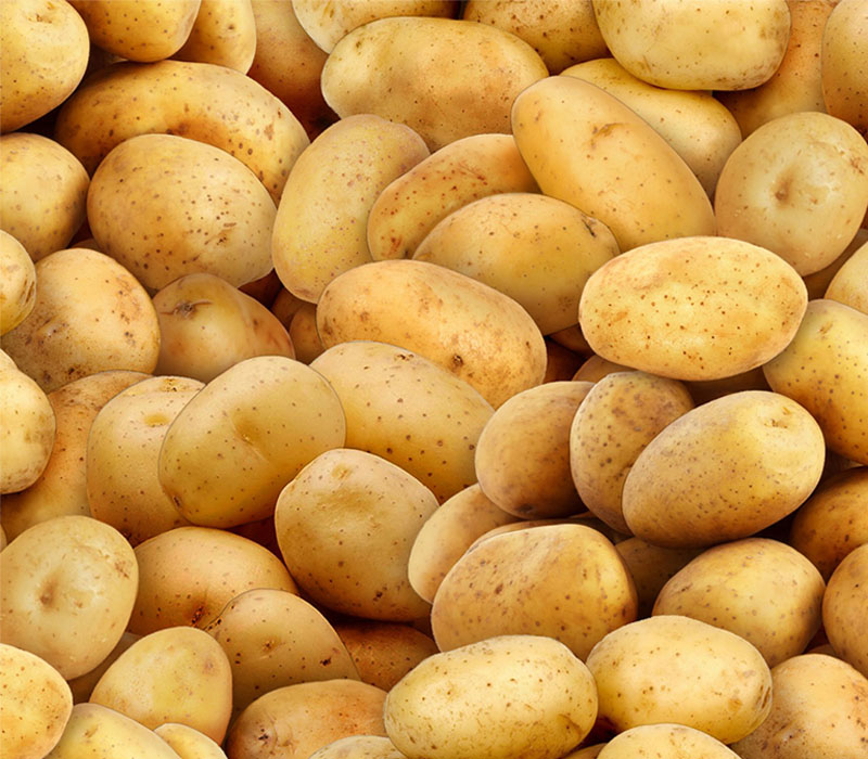 potatoes-allover-in-gold-and-brown-els575-gol
