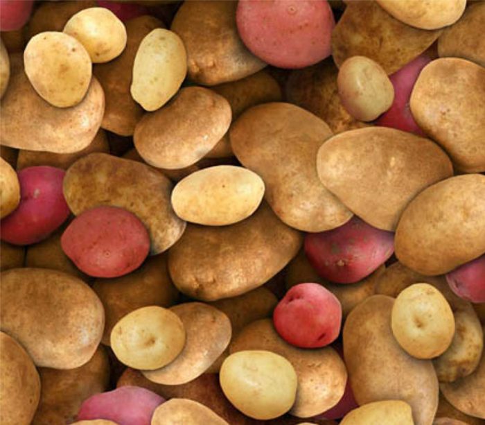 potatoes-allover-in-gold-and-red-els387-mul