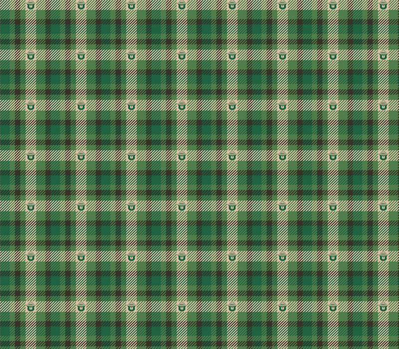 Smokey the Bear Only You Plaid In Forest Green