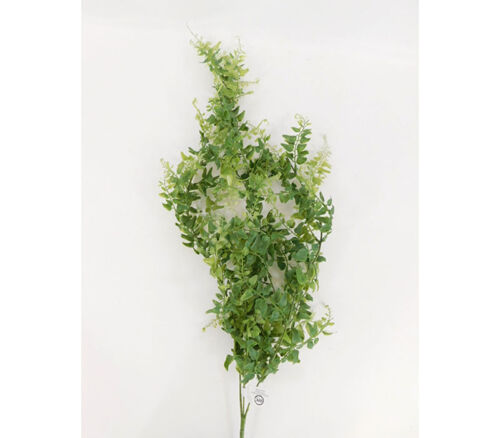 Trailing Fern Vine - 30-inch