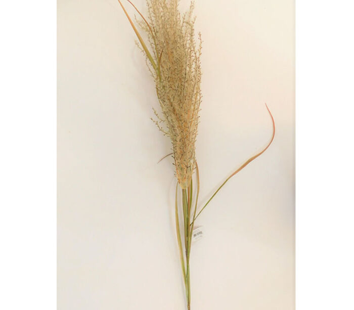 Reed Grass Spray - 54-inch