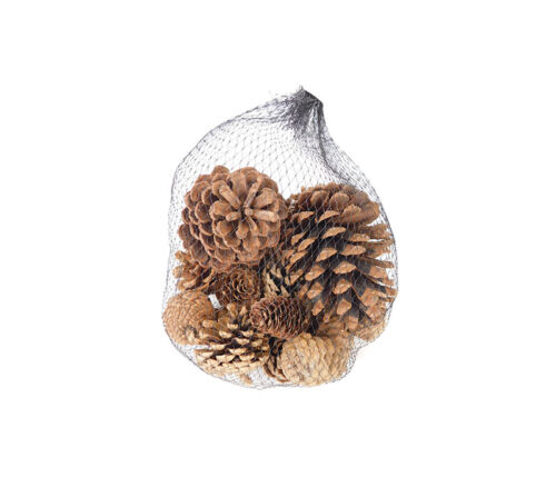 Pinecones - 22 Piece