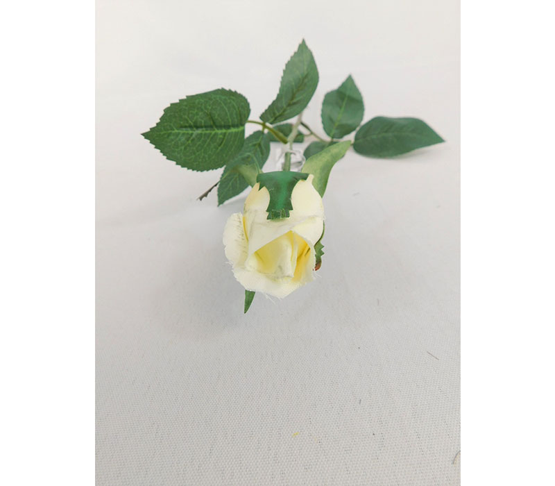 Spray - Rose Bud Vanilla - 23-inch