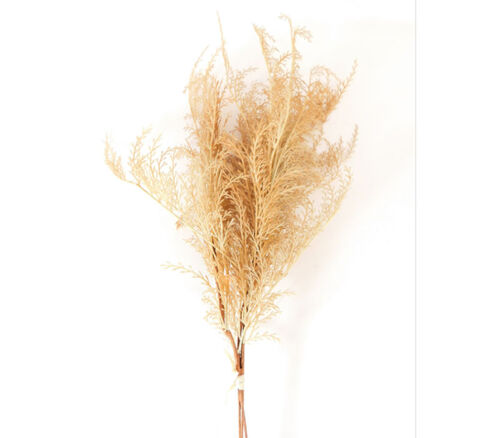 Phoenix Tail Fern - 3 Stems - 28-inch