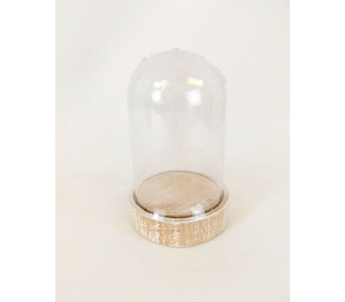 Clear Dome on Wooden Base