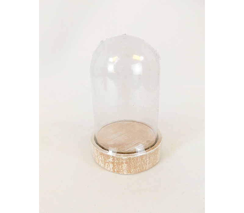 Clear Dome on Wooden Base