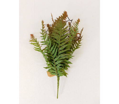 Fern Bush - 12-inch