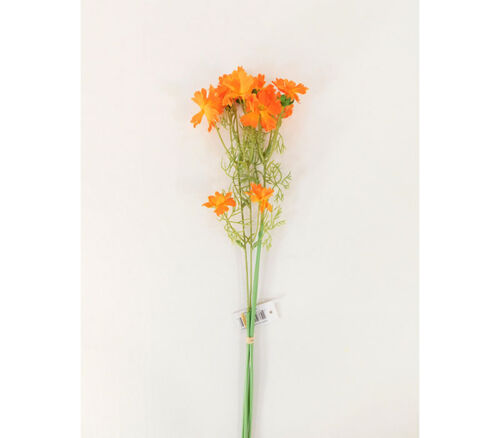 Cosmo Bundle - 4 Stems - 20-inch