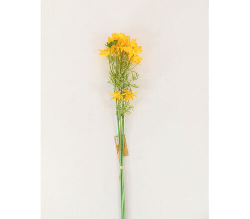 Cosmo Bundle - 4 Stems - 20-inch