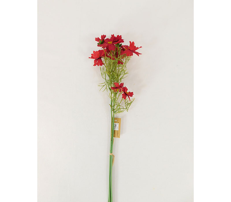 Cosmo Bundle - 4 Stems - 20-inch