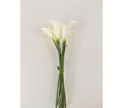 Calla Lily Bundle - 8 Stems - 12-inch