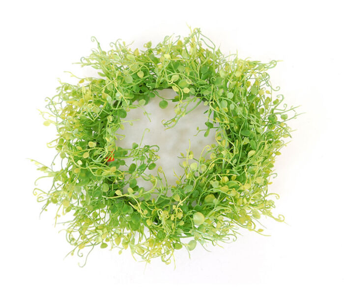 Mini Wreath - Pyschotria - 11.5-inch