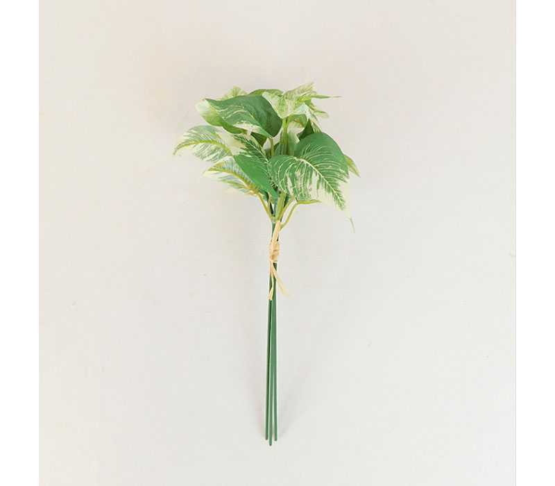Mini Pothos Leaves Bundle - 10-inch