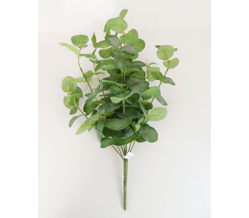 Eucalyptus Bush - 20-inch