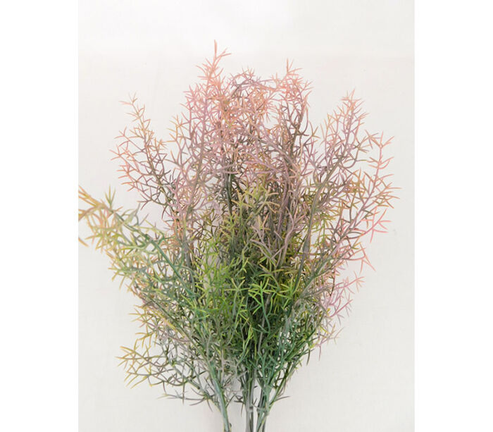 Springeri Bush - 19-inch - Image 2