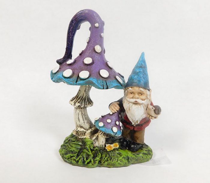 Mushroom with Gnome
