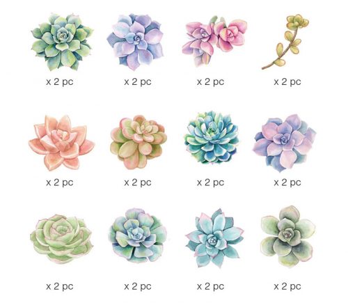 Succulent Stickers