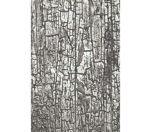 Ranger Tim Holtz Embossing Folder - Cracked