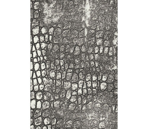 Ranger Tim Holtz Embossing Folder - Reptile