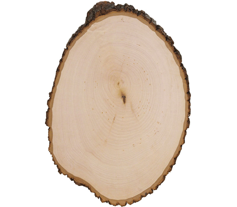 Walnut Hollow Basswood Country Rounds - Extra Large