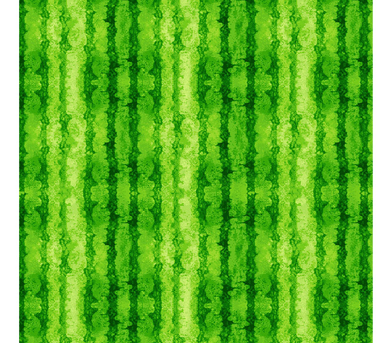 Watermelon Party Rind Stripes Texture in Green