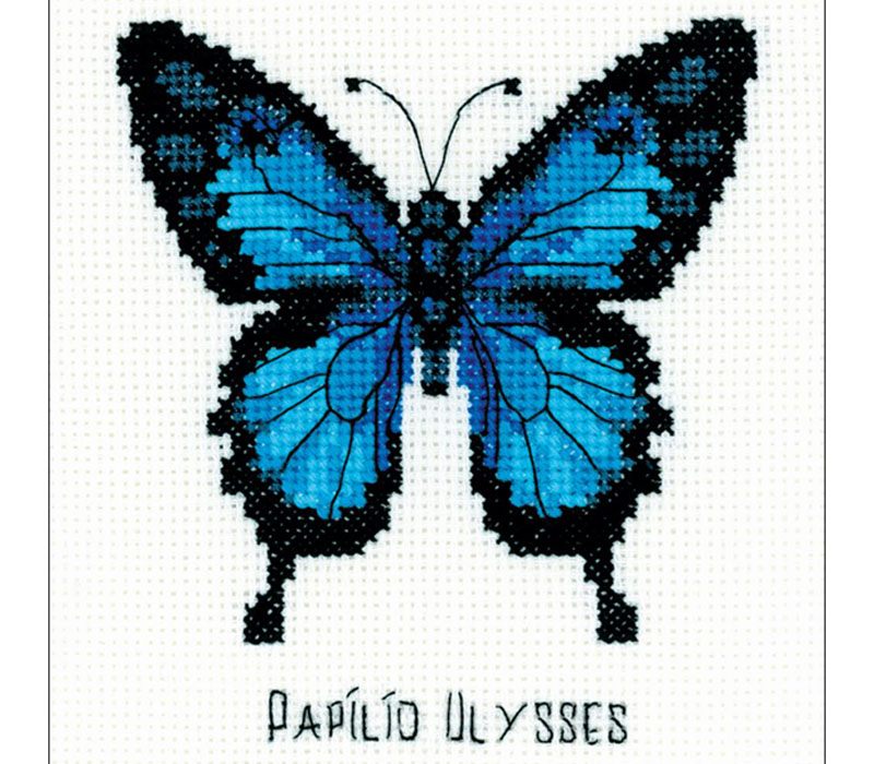 Ulysses Butterfly 5-inch by 5-inch Counted Cross Stitch Kit #RHB095