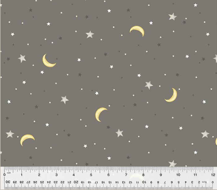 Sweet Dreams Flannel Night Sky on Dark Grey