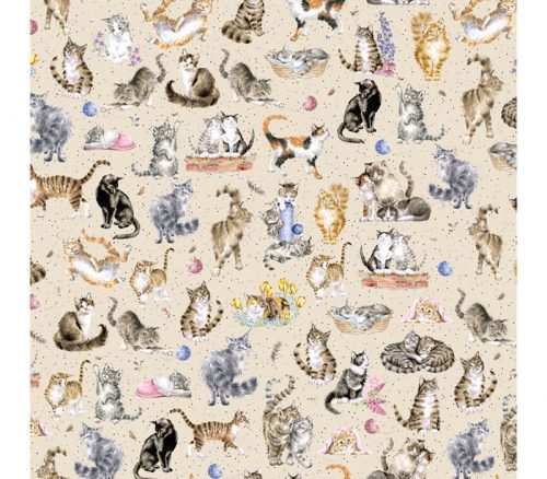 Whiskers & Paws Cats Directional on Cream